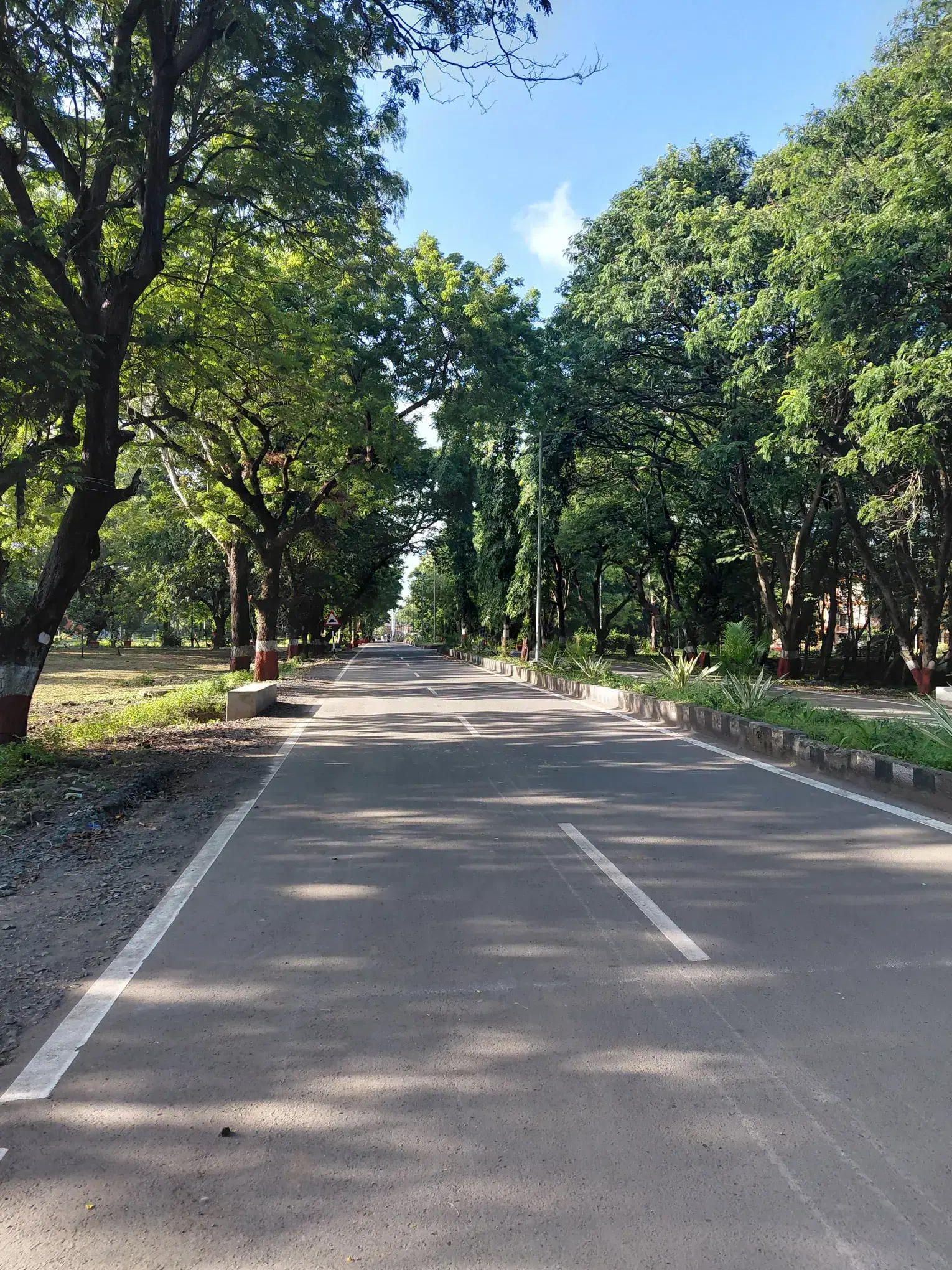 NIT Surat Academic Building photo 27